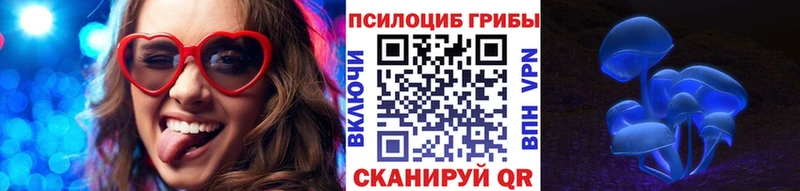 Псилоцибиновые грибы Psilocybe Дятьково