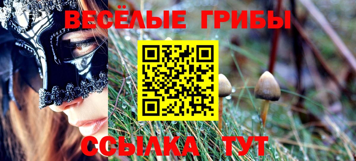 Дятьково  как найти   Вход с VPN  Галлюциногенные грибы мухоморы 