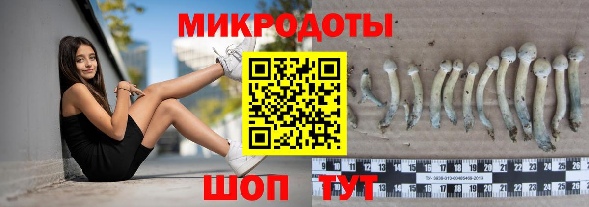 Псилоцибиновые грибы ЛСД Дятьково